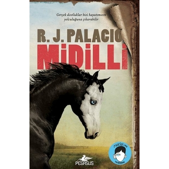 Midilli R. J. Palacio