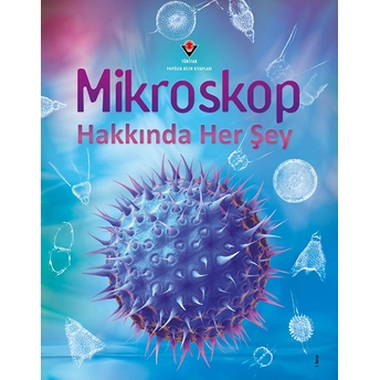 Mikroskop Hakkında Her Şey Kirsteen Rogers