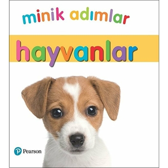 Minik Adımlar - Hayvanlar (Ciltli) Kolektif