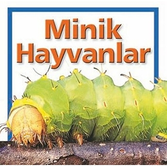 Minik Hayvanlar Kolektif