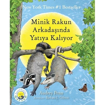 Minik Rakun Arkadaşında Yatıya Kalıyor Audrey Penn