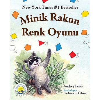 Minik Rakun Renk Oyunu Audrey Penn