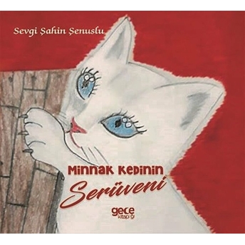 Minnak Kedinin Serüveni - Kolektif