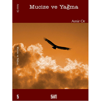 Mucize Ve Yağma Amir Or