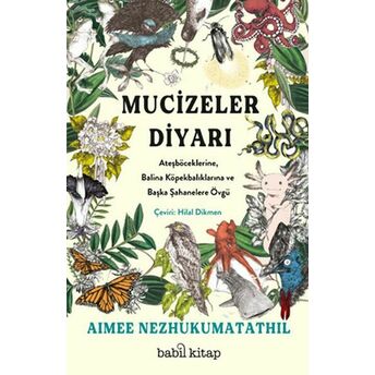 Mucizeler Diyarı Aimee Nezhukumatathil