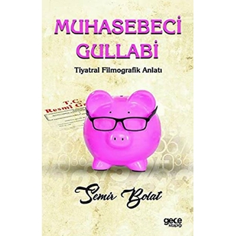 Muhasebeci Gullabi