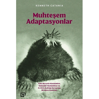 Muhteşem Adaptasyonlar - Kenneth Catania