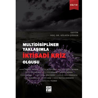 Multidisipliner Yaklaşımla Iktisadi Kriz Olgusu Cilt 4 Füsun Çelebi Boz