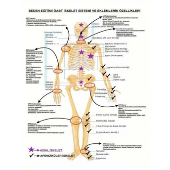 Murat Aydın Öabt Beden Eğitimi Öğretmenliği Iskelet Sistemi Ve Eklemlerin Özellikleri Dev Poster Murat Aydın