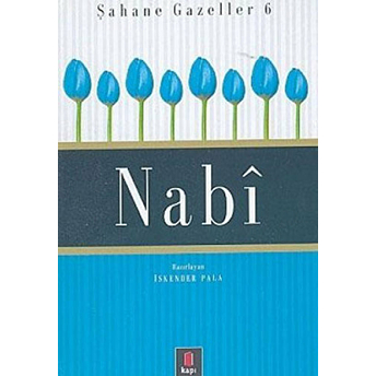 Nabi Şahane Gazeller 6 Ciltli Iskender Pala