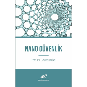 Nano Güvenlik E. Selcen Darçın