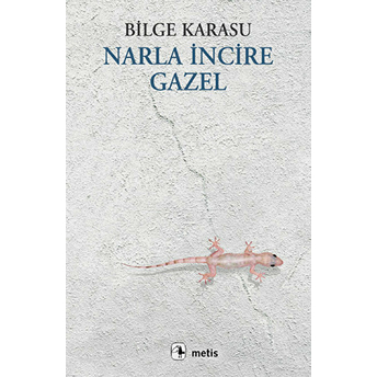 Narla Incire Gazel Bilge Karasu