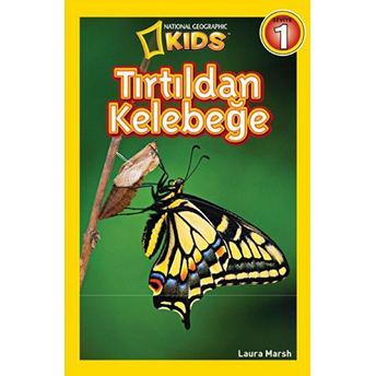 National Geographic Kids - Tırtıldan Kelebeğe Laura Marsh