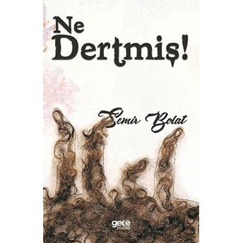 Ne Dertmiş - Semir Bolat