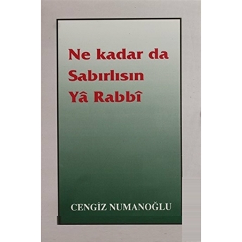 Ne Kadar Da Sabırlısın Ya Rabbi