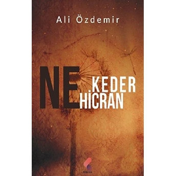 Ne Keder Ne Hicran - Ali Özdemir