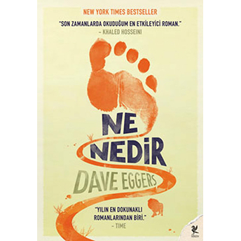 Ne Nedir Dave Eggers