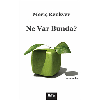 Ne Var Bunda? Meriç Renkver