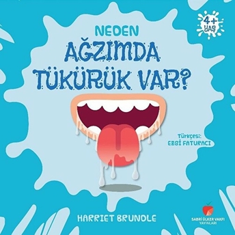 Neden Ağzımda Tükürük Var?