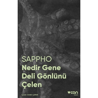 Nedir Gene Deli Gönlünü Çelen (Fotoğraflı Klasikler) Sappho