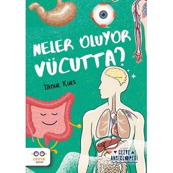 Neler Oluyor Vücutta ? – Cezve Ansiklopedi Ilknur Kurt