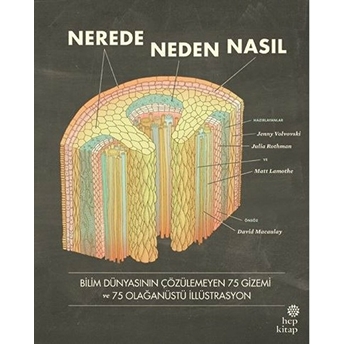 Nerede, Neden, Nasıl Jenny Volvovski, Matt Lamothe, Julia Rothman