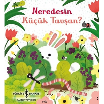 Neredesin Küçük Tavşan? Sam Taplin