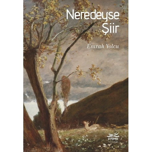 Neredeyse Şiir