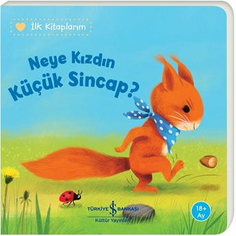 Neye Kızdın Küçük Sincap? Katja Reıder