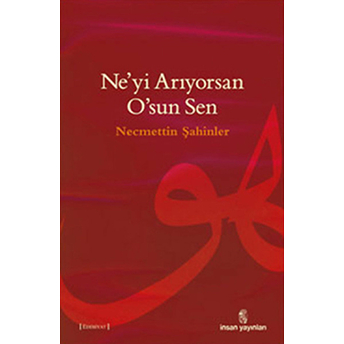 Ne'yi Arıyorsan O'sun Sen Necmettin Şahinler