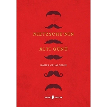 Nietzsche’nin Altı Günü - Hamza Celâleddin