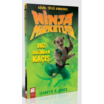 Ninja Mirketler -3 Buz Dağından Kaçış Gareth P. Jones