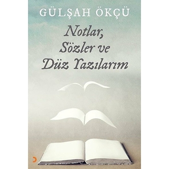 Notlar, Sözler Ve Düz Yazılarım - Gülşah Ökçü