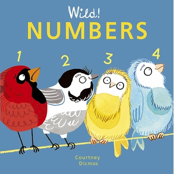 Numbers Ciltli Courtney Dicmas