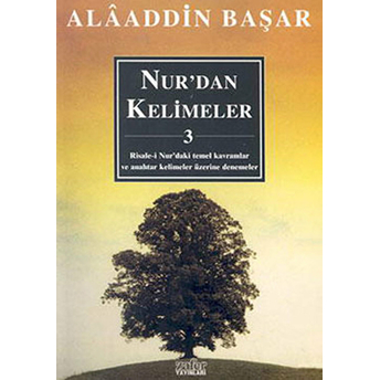 Nur’dan Cümleler -3 Alaaddin Başar