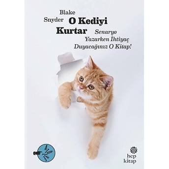 O Kediyi Kurtar: Senaryo Yazarken Ihtiyaç Duyacağınız O Kitap! Blake Snyder