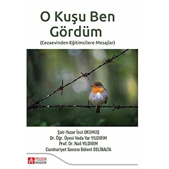 O Kuşu Ben Gördüm - Bülent Delibalta