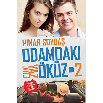 Odamdaki Öküz 2-Pınar Soydaş