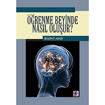 Öğrenme Beyinde Nasıl Oluşur? Bülent Madi