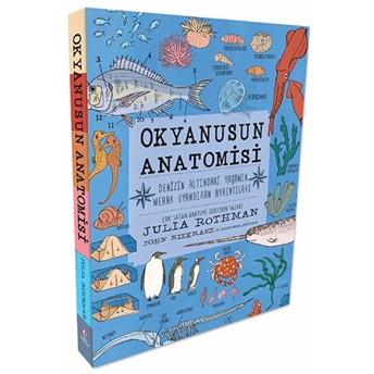 Okyanusun Anatomisi Julia Rothman