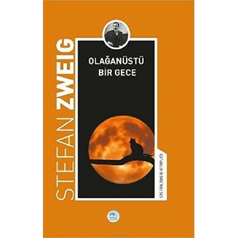 Olağanüstü Bir Gece Stefan Zweig