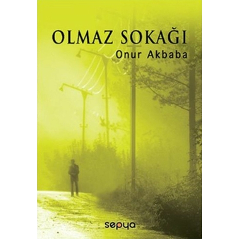 Olmaz Sokağı Onur Akbaba