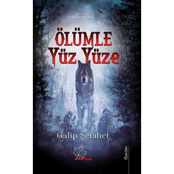 Ölümle Yüz Yüze - Galip Şefahet