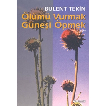 Ölümü Vurmak Güneşi Öpmek Bülent Tekin