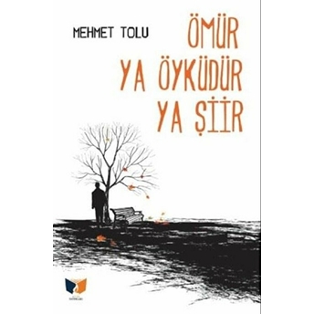 Ömür Ya Öyküdür Ya Şiir Mehmet Tolu