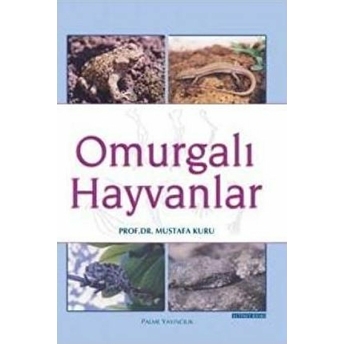 Omurgalı Hayvanlar Mustafa Kuru