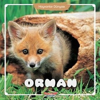 Orman - Hayvanlar Dünyası Kolektif