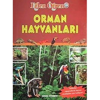 Orman Hayvanları