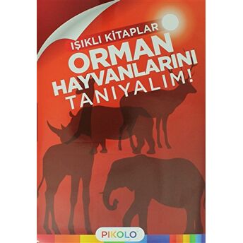 Orman Hayvanlarını Tanıyalım! - Işıklı Kitaplar Kolektif