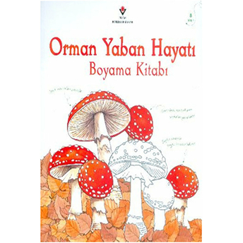 Orman Yaban Hayatı Boyama Kitabı Jenny Cooper